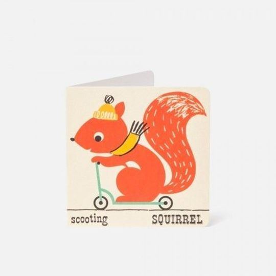 Bild von Squirrel, VE-6