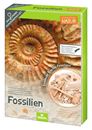 Picture of Expedition Natur Das grosse Fossilien-Ausgrabungs-Set, VE-2