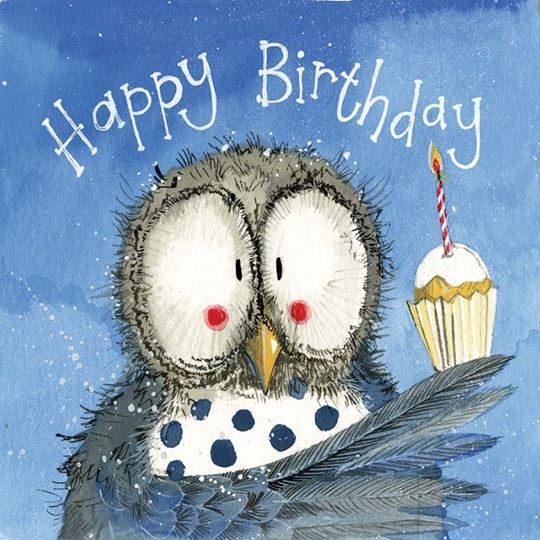Bild von OWL & CUP CAKE BIRTHDAY CARD