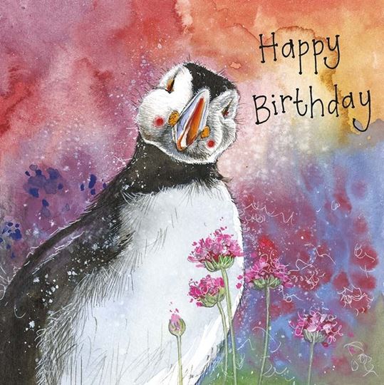 Bild von PUFFIN & THRIFT BIRTHDAY CARD