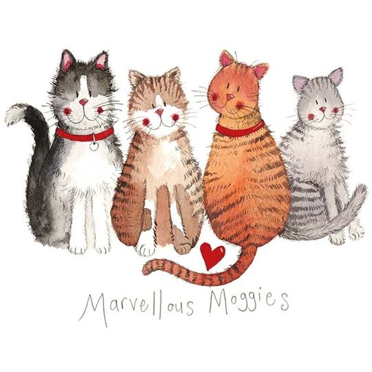 Bild von MARVELLOUS MOGGIES MEDIUM CANVAS