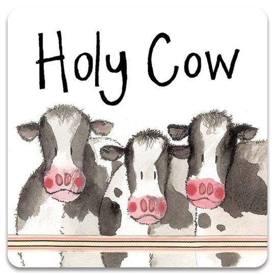 Bild von HOLY COW