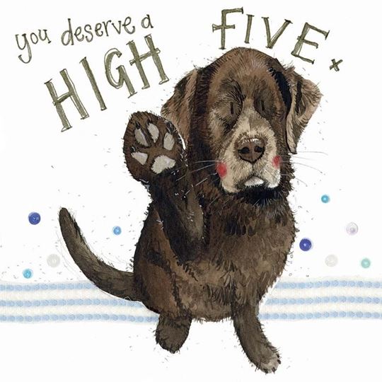 Bild von HIGH FIVE CARD