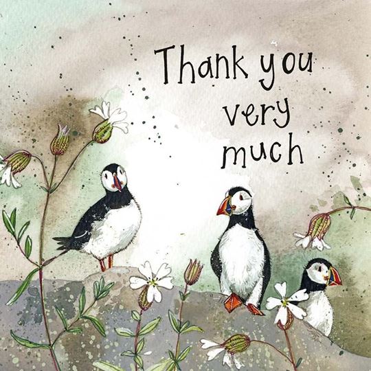 Bild von PUFFINS & SEA CAMPION THANK YOU CARD