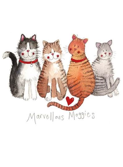 Bild von MARVELLOUS MOGGIES