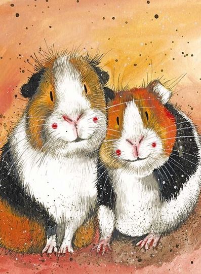 Bild von GUINEA PIGS