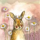 Bild von Rabbit and Daisies