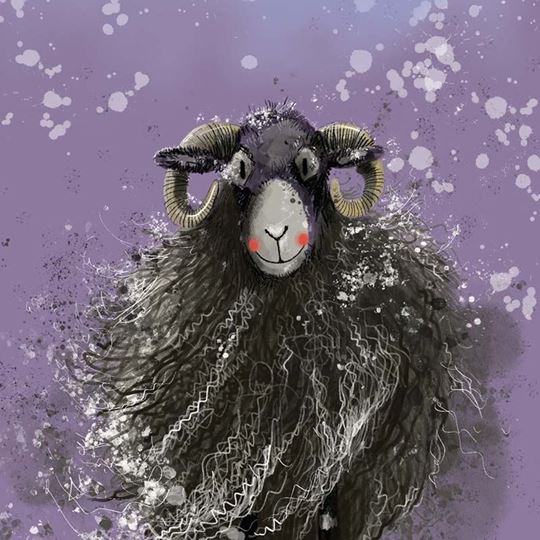 Bild von SHEEP BLANK CARD