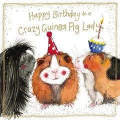 Bild von GRAZY GUINEA PIG SPARKLE CARD