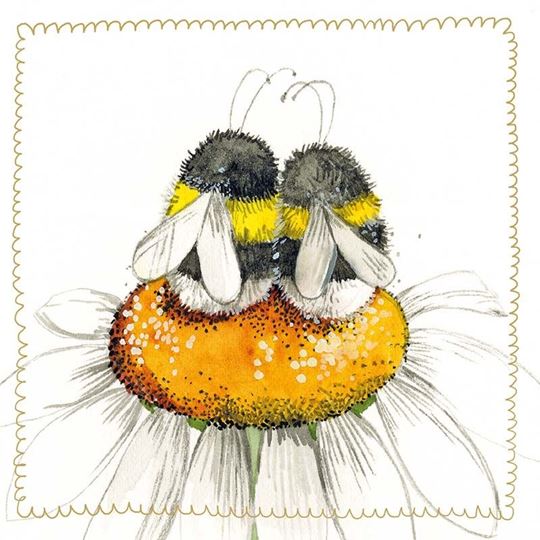 Bild von DAISY BEES