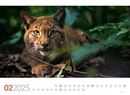 Bild von Tierwelt Wald Kalender 2025