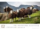 Bild von Schafe Kalender 2025