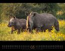 Bild von Wildes Afrika Kalender 2025