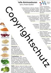 Image de Aminosäure und vegane Protein-Quellen, Übersichtskarte DIN A4