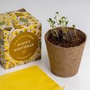 Bild von Say it with Flowers Growing Kit (Happy Birthday)
