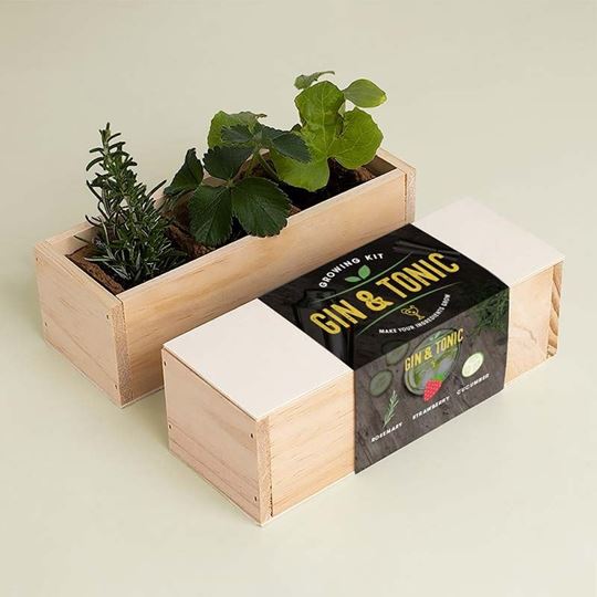Bild von Gin Tonic Growing Kit (rosemary, strawberry, cucumber)