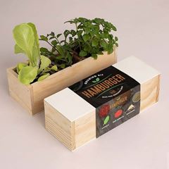 Bild von Hamburger Growing Kit (lettuce, beef tomato, mustard)