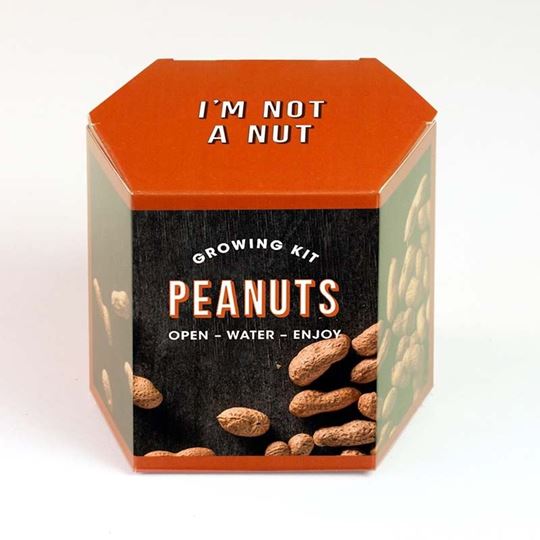 Bild von Peanuts Growing Kit