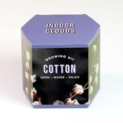 Bild von Cotton Growing Kit