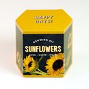 Bild von Sunflower Growing Kit
