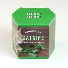 Bild von Catnips Growing Kit