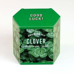 Bild von Clover Growing Kit