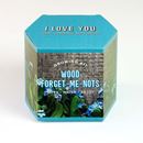 Bild von Wood Forget-Me-Nots Growing Kit