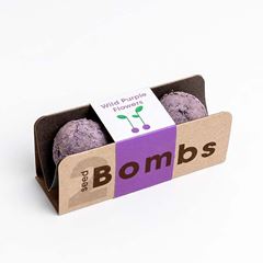 Bild von Biodiversity Bombs (Wild Purple Flowers)