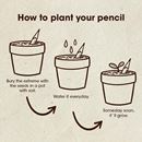 Bild von Plantable pencils (Chamomille)