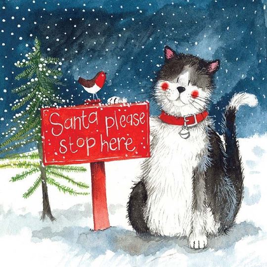 Bild von SANTA'S STOP XMAS CARD PACK OF 5