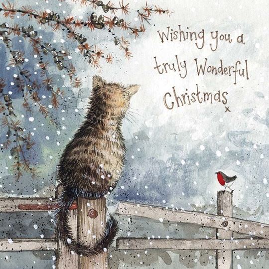 Bild von SNOW IS COMING XMAS CARD PACK OF 5