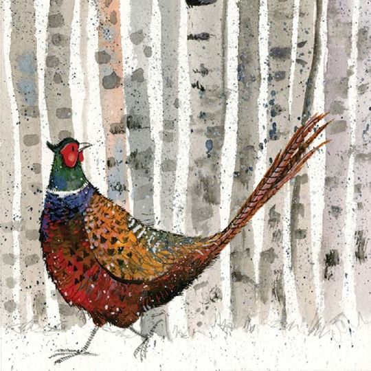 Bild von PHEASANT XMAS CARD PACK OF 5