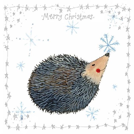 Bild von HEDGEHOG & SNOWFLAKE