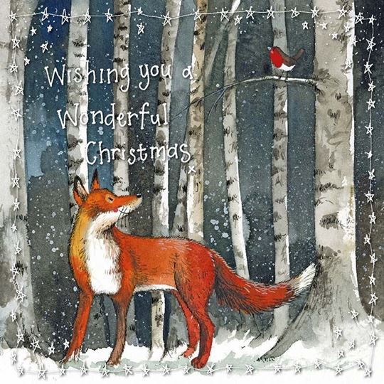 Bild von CHRISTMAS FOX