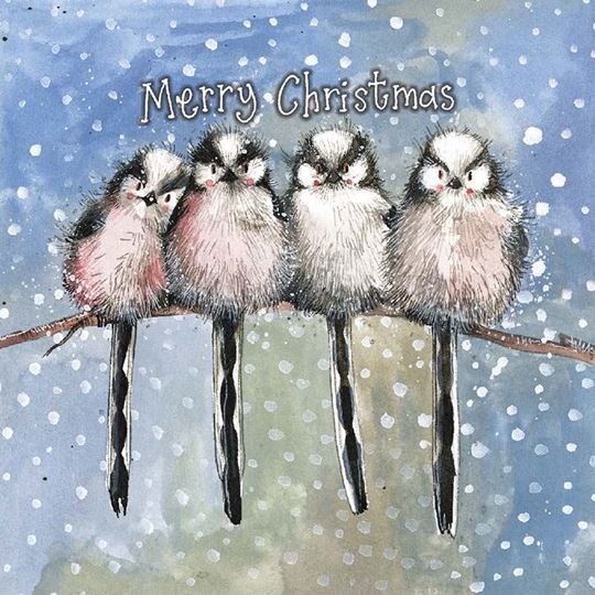 Bild von CHRISTMAS LONG TAILED TITS