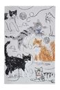 Bild von Feline Friends Cotton Tea Towel - Ulster Weavers