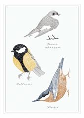 Bild von Postkarte. Vögel 10 Ex.