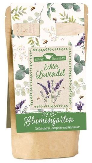 Bild von Echter Lavendel