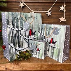 Bild von ROBIN & ICICLES MEDIUM GIFT BAG