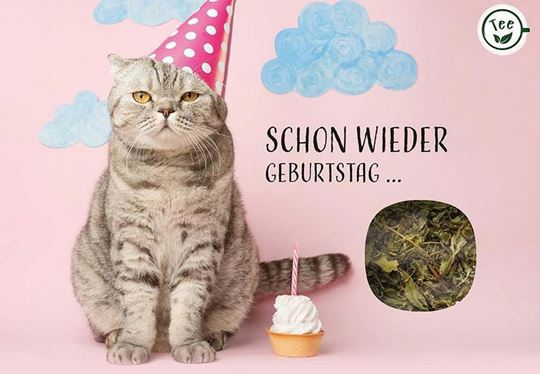 Bild von Schon wieder Geburtstag