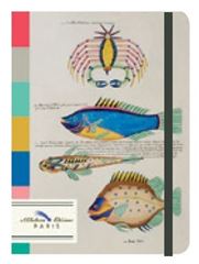 Bild von Notizbuch Crazy Fish, A6 mit elastischem Band