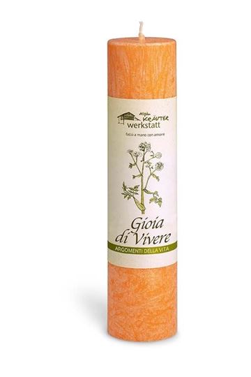 Bild von Candele alle piante officinali dell'Algovia - gioia di vivere