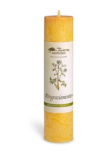 Bild von Candele alle piante officinali dell'Algovia - ringraziamento