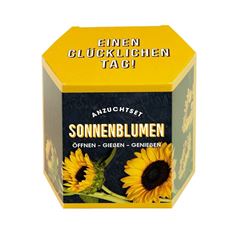 Bild von Anzuchtset Sonnenblumen