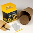 Bild von Kit autocoltivazioni Girasoli