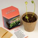 Bild von Kit autocoltivazioni Edamame