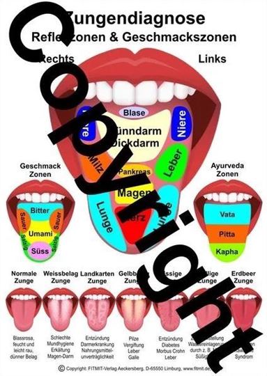 Bild von Zungenreflexzonen & Geschmackzonen - Zungendiagnose A4