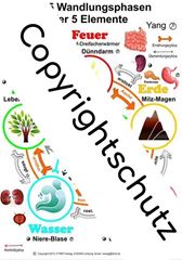 Bild von Die 5 Wandlungsphasen der 5 Elemente, Übersichtskarte DIN A3