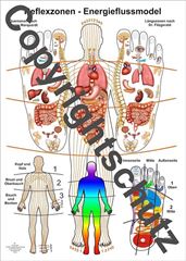 Bild von Reflexzonen - Energieflussmodel, Übersichtskarte DIN A5
