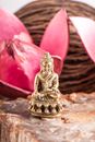 Immagine di Miniaturfigur Medizinbuddha, 3 cm